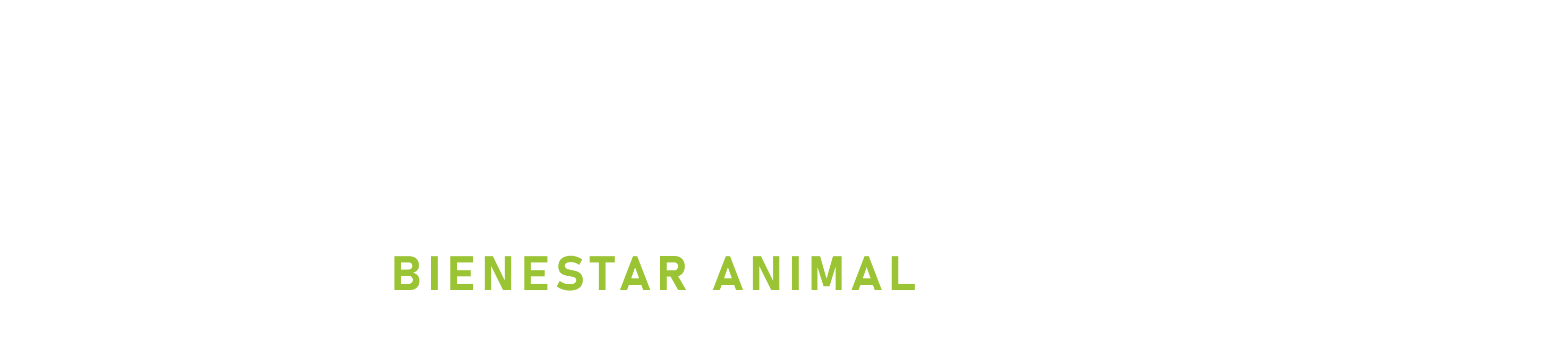 Actifauna Bienestar Animal